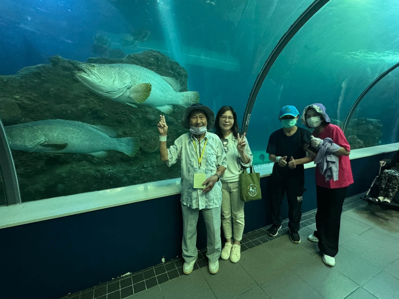 長輩走過海底隧道欣賞悠游的魚群