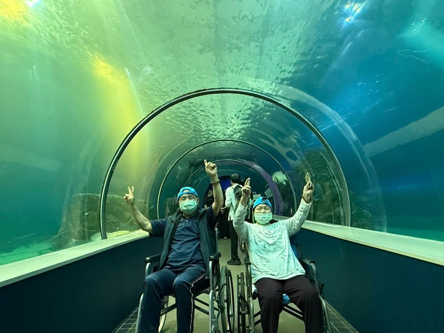 長輩走過海底隧道欣賞悠游的魚群