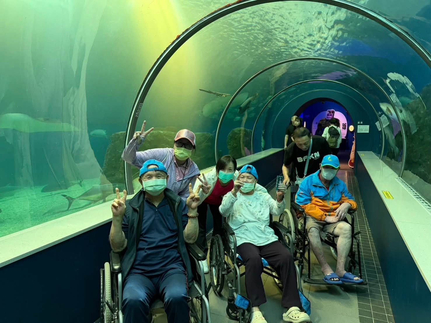 長輩走過海底隧道欣賞悠游的魚群